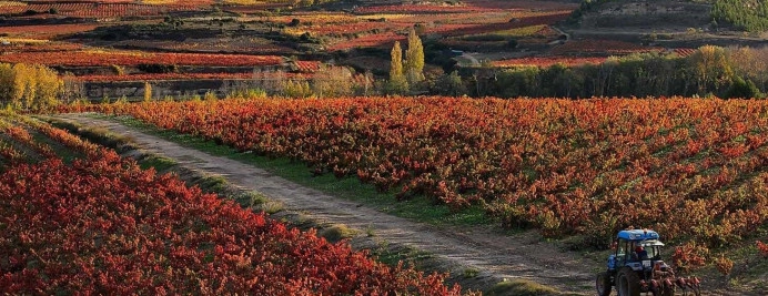 vino-Haro-2026.jpg
